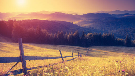 优美句子文案大全10个字