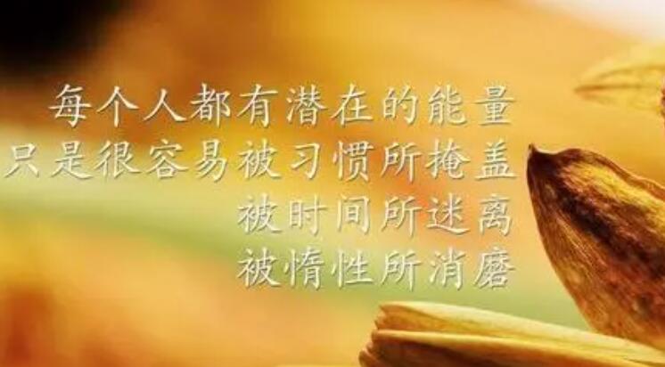 励志的句子文案加配图