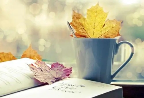 关于尊严的句子文案摘抄