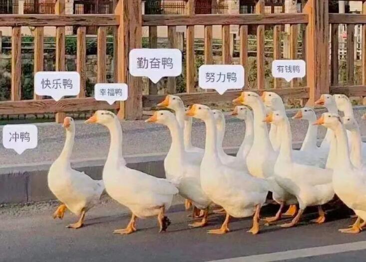 关于快乐的句子文案