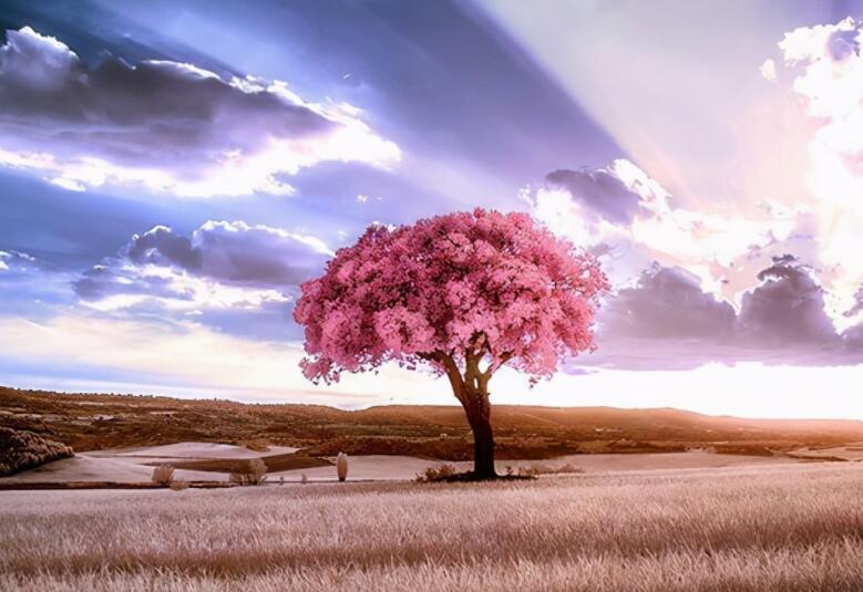 撩男生撩到脸红的情话文案