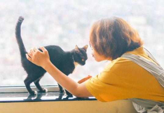 感情伤害的句子文案心语