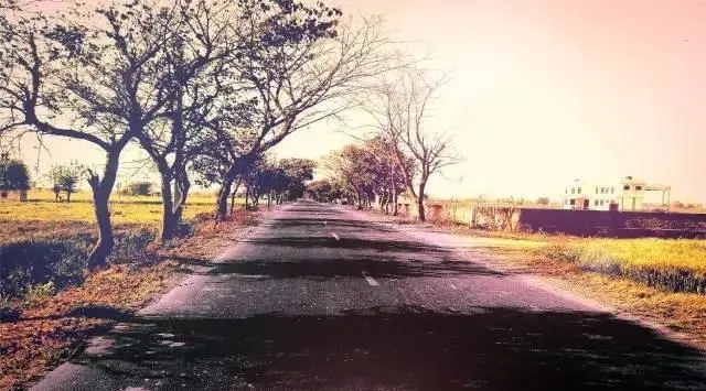 风景在路上名言警句