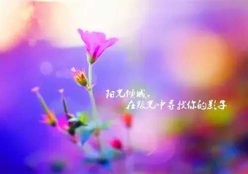 微信朋友圈最火的语句文案