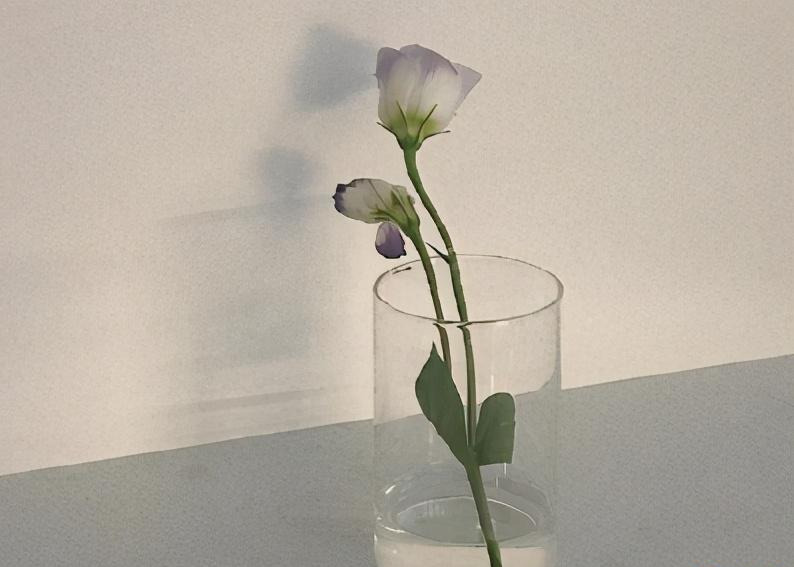 小红书文案标签