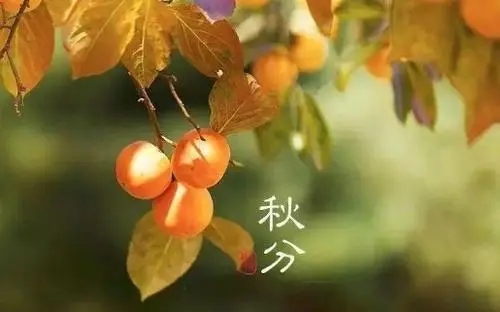 秋分的祝福句子文案