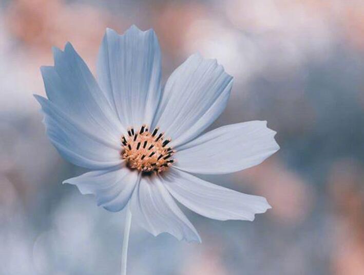 经典人生短句10个字