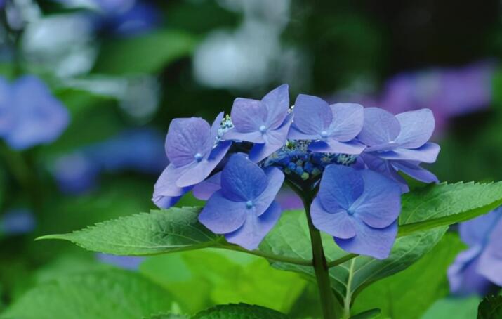 下雨天心情的句子文案