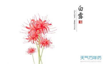 关于白露的诗句文案杜甫