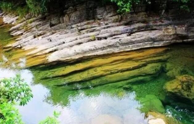 二十四节气寒露古诗词