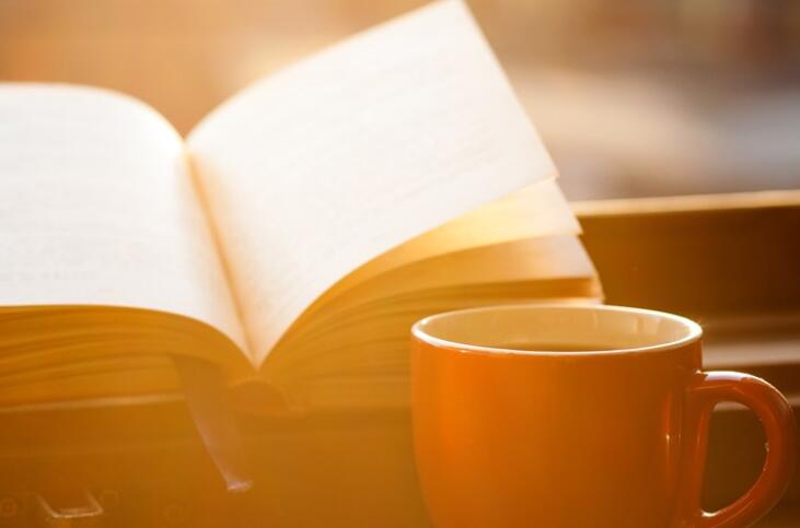 读书笔记摘抄好段及感悟赏析