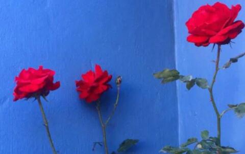 朋友圈暗示自己有人追