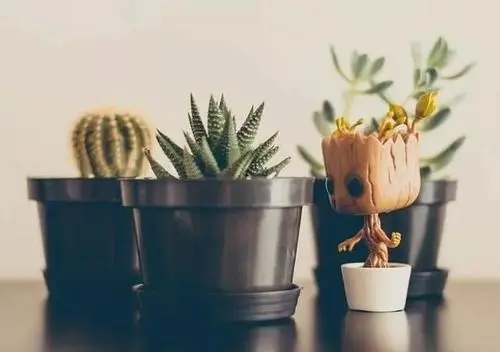 教训人的句子文案经典语录