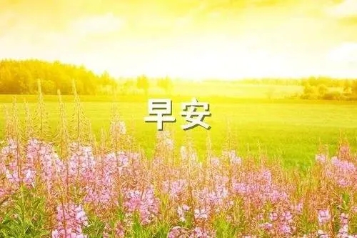 微信群周六早安问候语