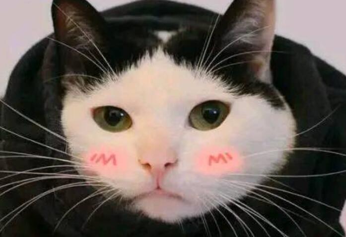 抖音句子文案特别皮