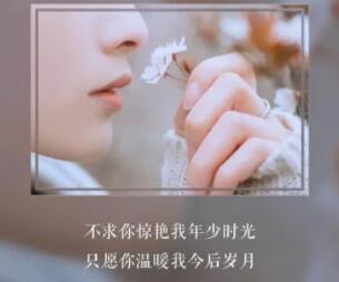 一句话爱情语录文案