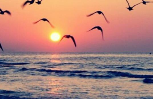 致自己努力奋斗的说说文案