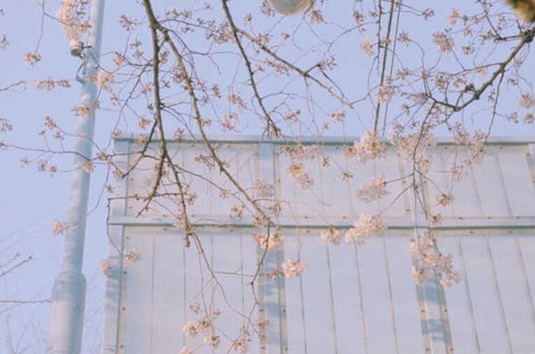 形容城市繁华的句子文案