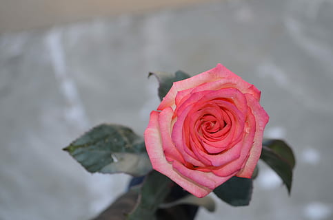 情侣要分开一段时间的说说文案