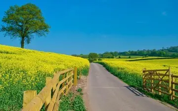 关于自尊的段落摘抄