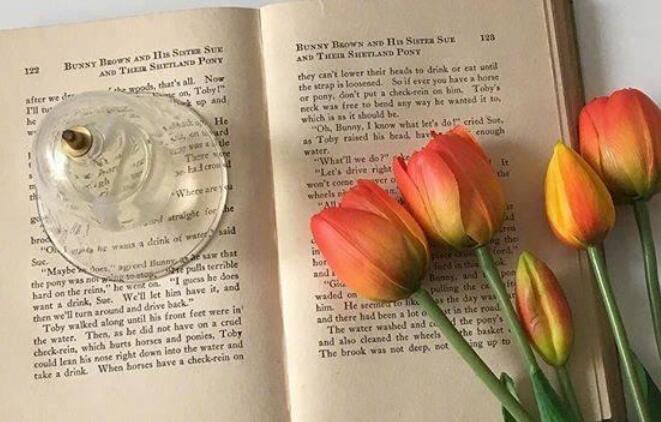 五六个字文艺短句