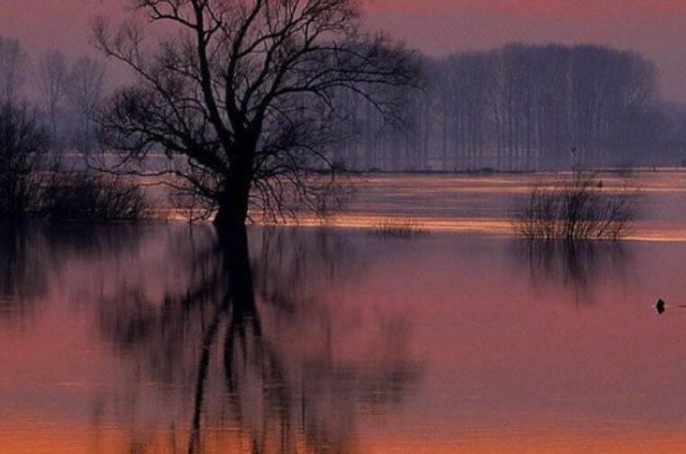 描写水树相映的句子文案