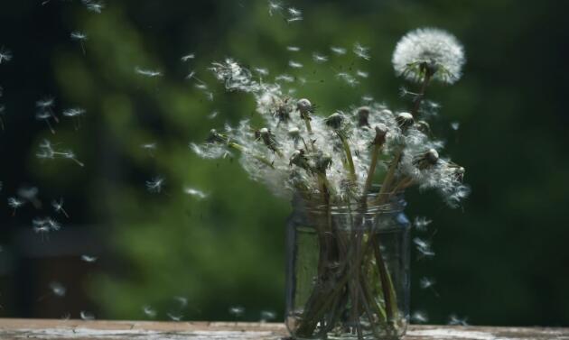 有趣的个性签名