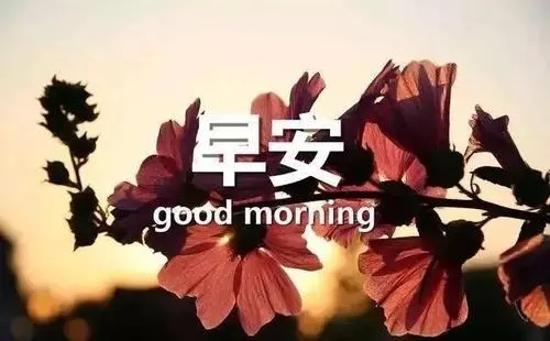 早安鼓励团队简短句子文案