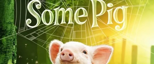 夏洛的网好词好句文案