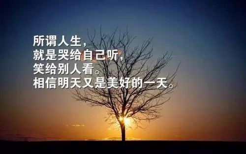 形容人坚韧的经典语录文案