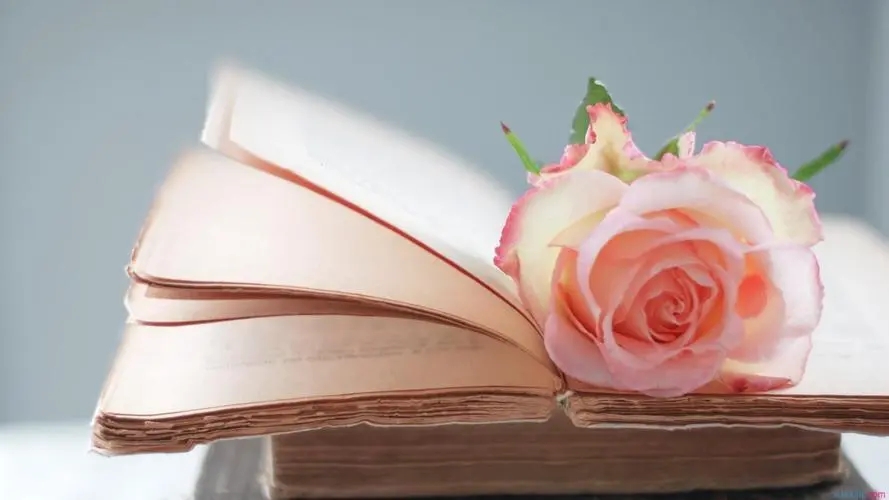 让男朋友感动哭的句子文案