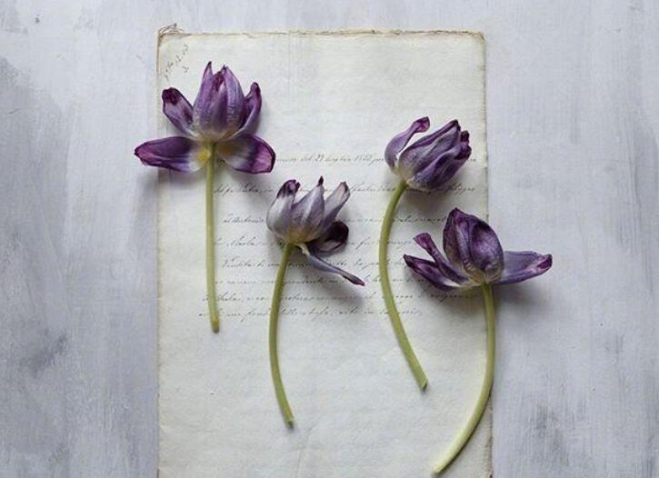 一个人狠一点的句子文案