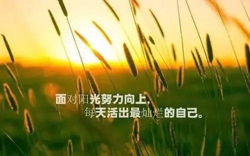 工作励志的句子文案