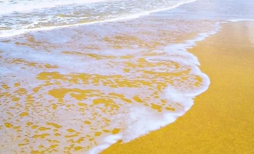 唯美的海边现代诗句文案