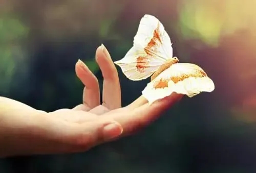 讲人品的经典句子文案