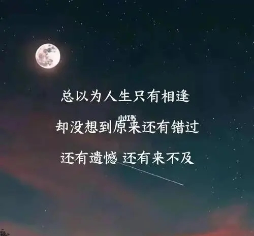 感情好的句子文案