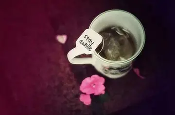 大清早吵架的说说文案