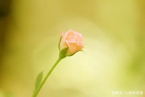 上班周年纪念的句子文案