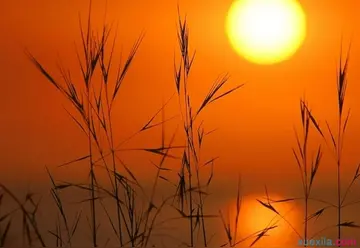 描写黄昏的优美句子文案摘抄