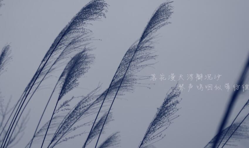 写在手账本上的话段落