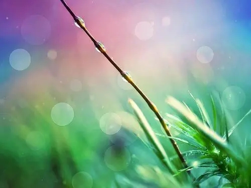 关于描写春天的优美句子文案