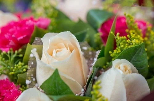 关爱的句子文案二年级