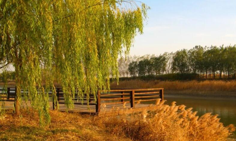 形容十一月天气的句子文案