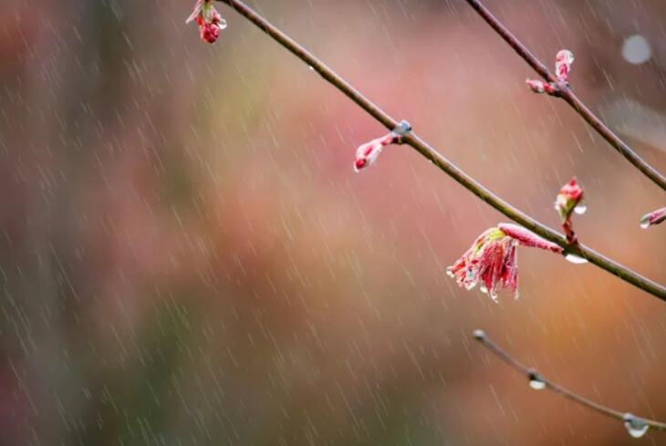 冬天下雨的诗句文案