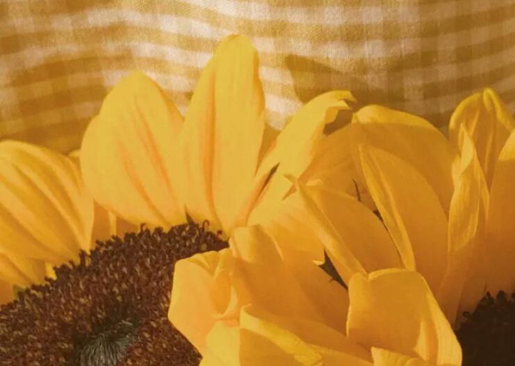 说分手的搞笑句子文案