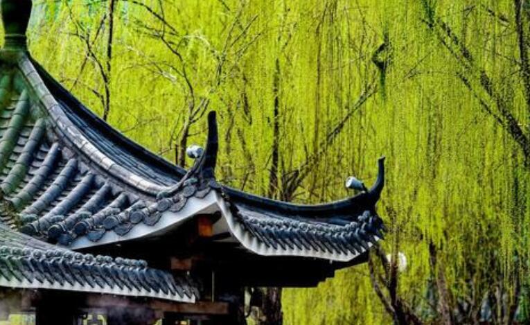 故乡名言名句文案摘抄