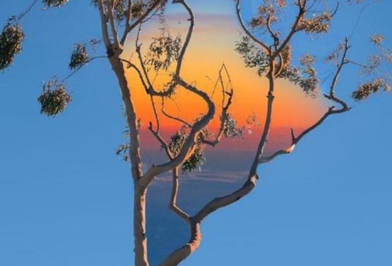 关于挑拨离间的文案