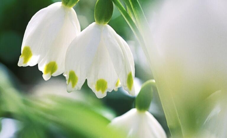 作比较的句子文案30字左右