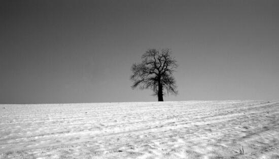 给老婆暖心话十字短句