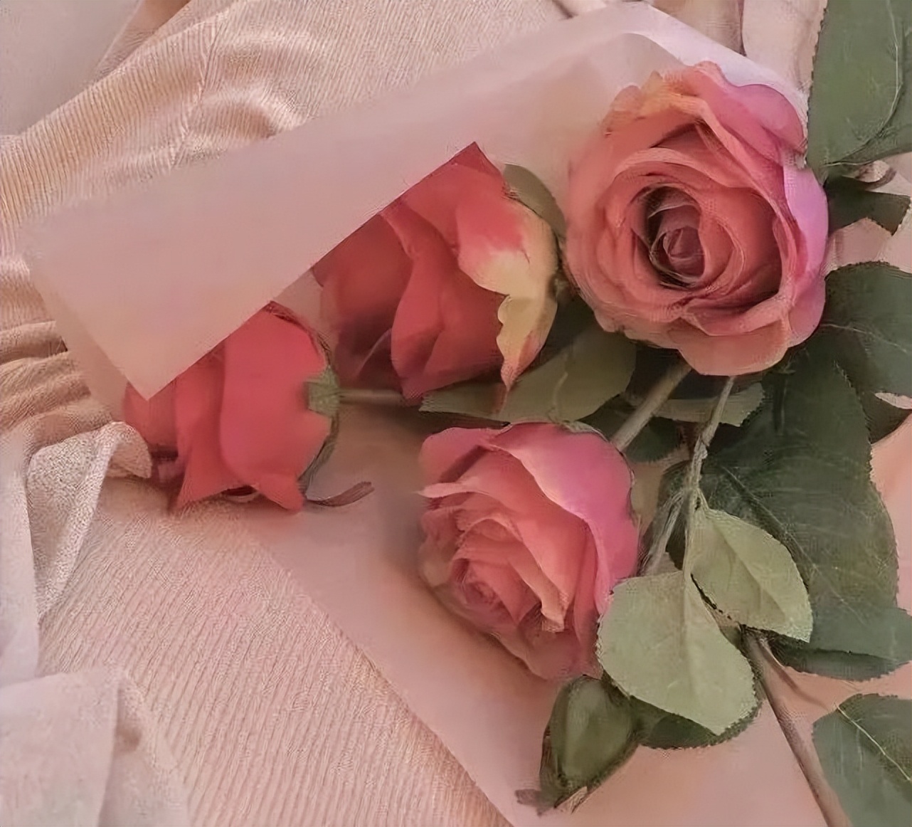 玫瑰花的个性说说文案